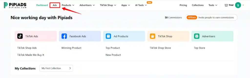 PiPiADS Review 2026: #1 TikTok Ads Spy Tool to 10x Your Sales? 14 PiPiADS - Click on the Ads tab